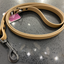 DogDog Goose - Biothane Leashes