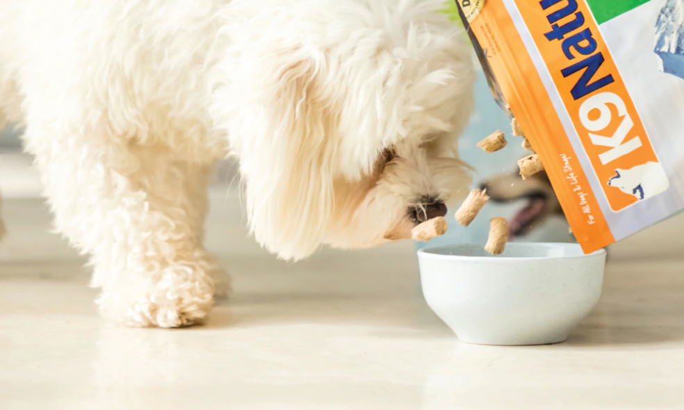K9 online pet food