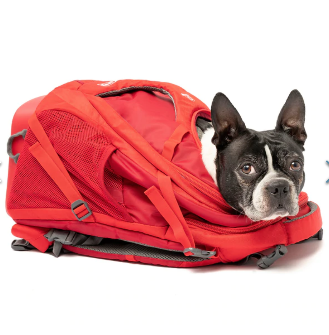 Kurgo G-Train Dog Carrier Backpack, Red