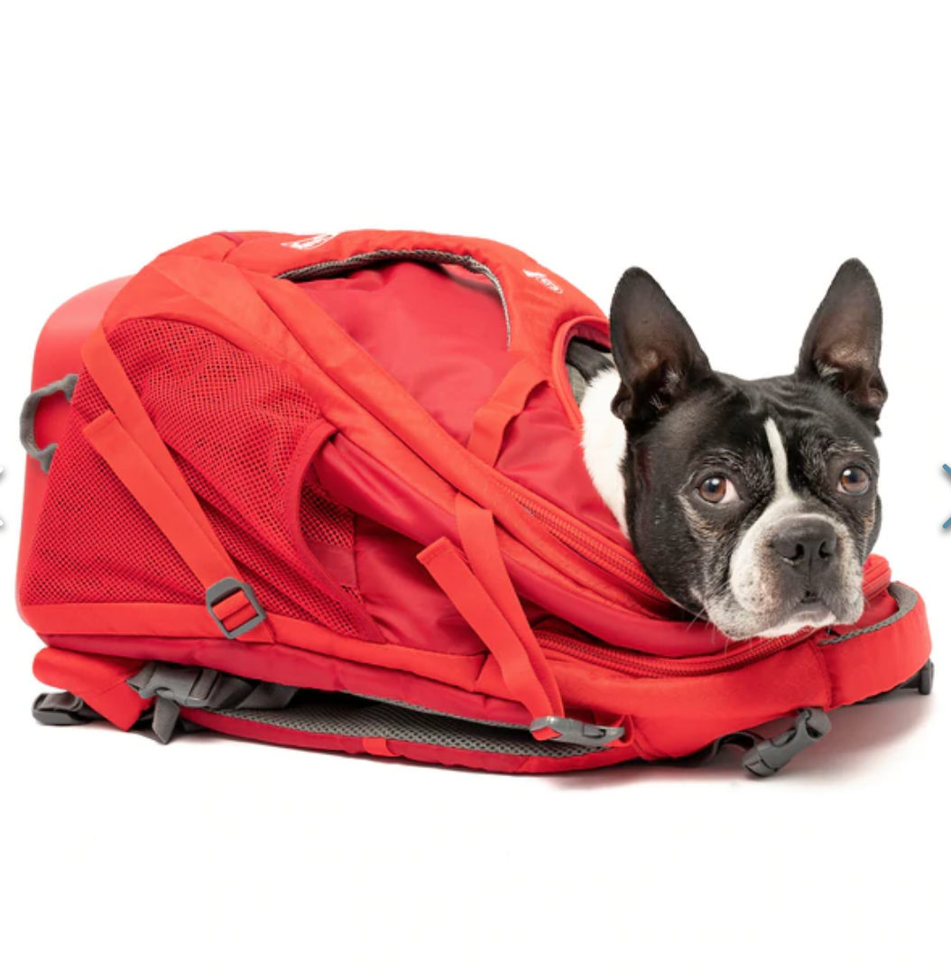 Kurgo G Train Dog Carrier Backpack Doodle Dogs