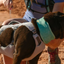 Ruffwear - Swamp Cooler Neck Gaiter