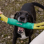 Ruffwear- Pacific Loop