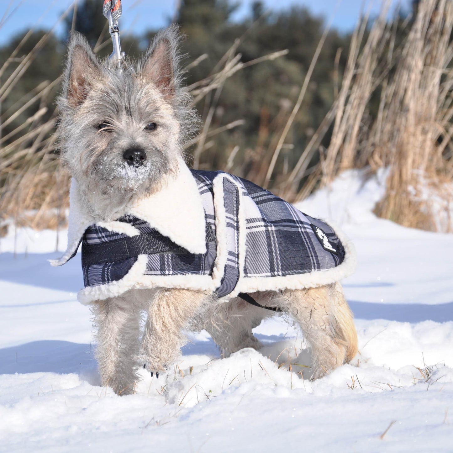 Shedrow K9 - Aspen Dog Coat