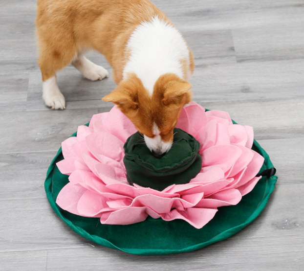Doodle Dogs - Pink Lotus Snuffle Mat - Level 2