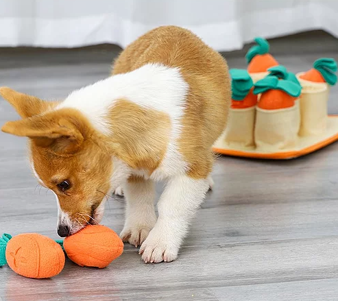 Doodle Dogs - Carrot Mania Snuffle Toy - Level 2