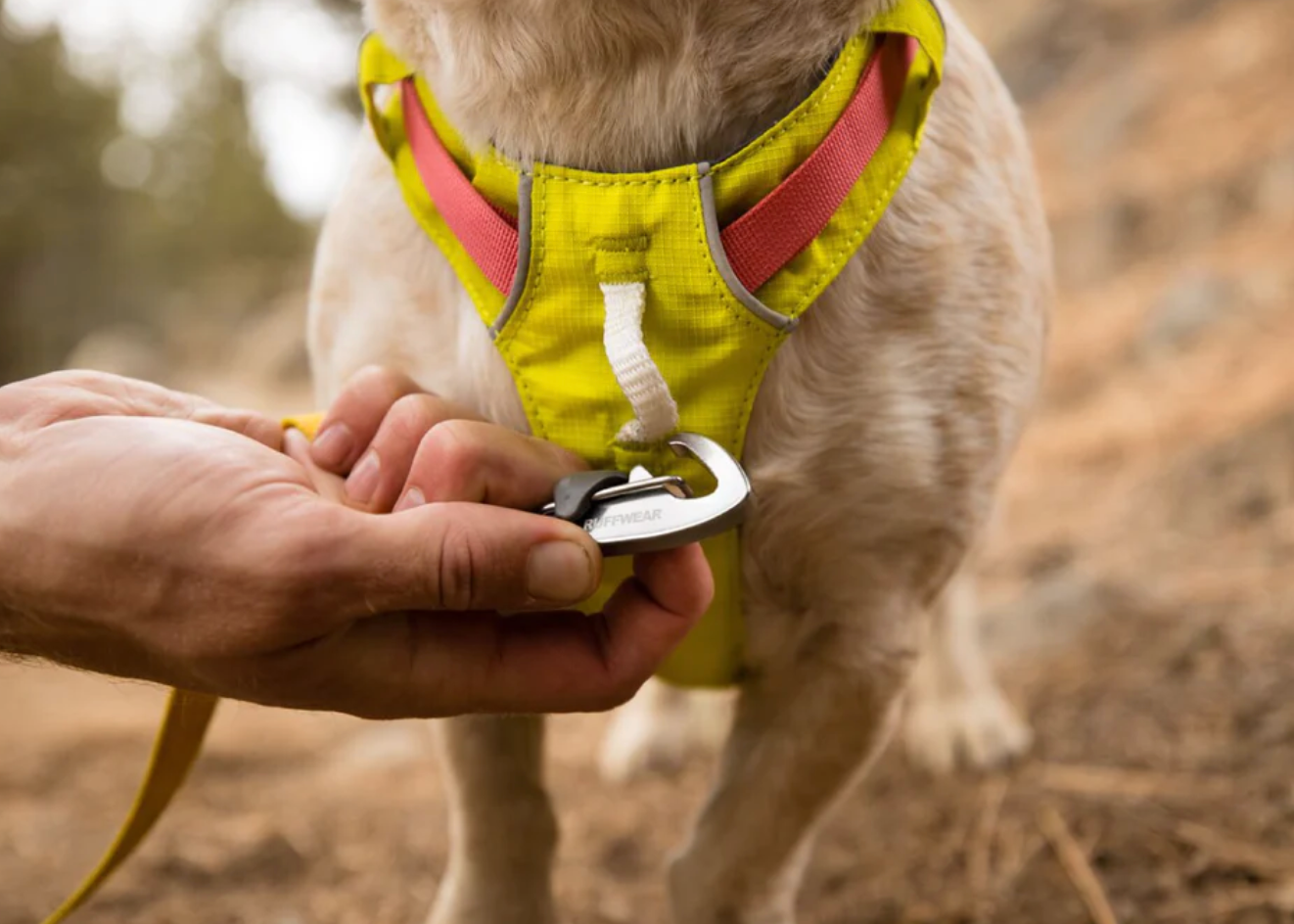 Ruffwear 2024 pink harness