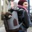 Kurgo - K9 Rucksack