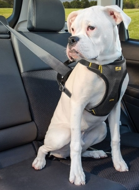 Kurgo - Impact Seatbelt Harness