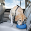 Kurgo - Splash-Free Water Bowl