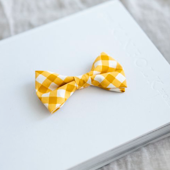 Darling Dear - Yellow Gingham