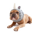 Zoo Snoods - Rhino