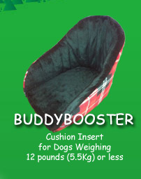 Buddy Rider - Booster Cushion