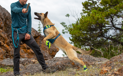 RC Pets - Apex Boot