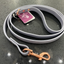 DogDog Goose - Biothane Leashes