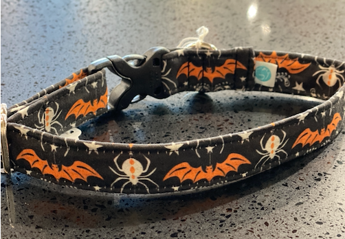 Walk in the Bark - Halloween Spider Collar
