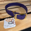 The Sister Doodles Collar Co - Biothane Buckle Collar - Mulberry with Brass