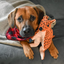 Tender Tuffs - Kangaroo Big Shot Toy
