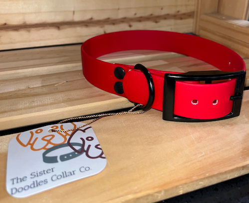 The Sister Doodles Collar Co - Biothane Buckle Collar - Scarlett with Black