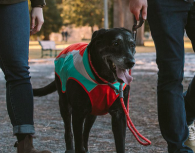 Ruffwear - Just-a-Cinch Rope Leash