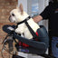Buddy Rider - Main Seat Kit