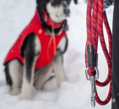 RC Pets - Rope Leash