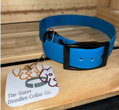 The Sister Doodles Collar Co - Biothane Buckle Collar - Lagoon with Black