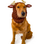 Zoo Snoods - Reindeer