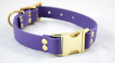 DogDog Goose Biothane Collar - Purple with Brass Buckle
