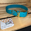 The Sister Doodles Collar Co - Biothane Buckle Collar - Teal with Brass