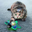 Kong - Cat Toys - Bat-A-Bout