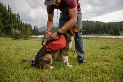 Ruffwear - Front Range Day Pack