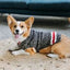 Chilly Dog Sweater - Boyfriend Grey