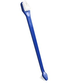 Bluestem - Toothbrush 2pk