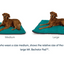 Ruffwear - Mt. Bachelor Pad
