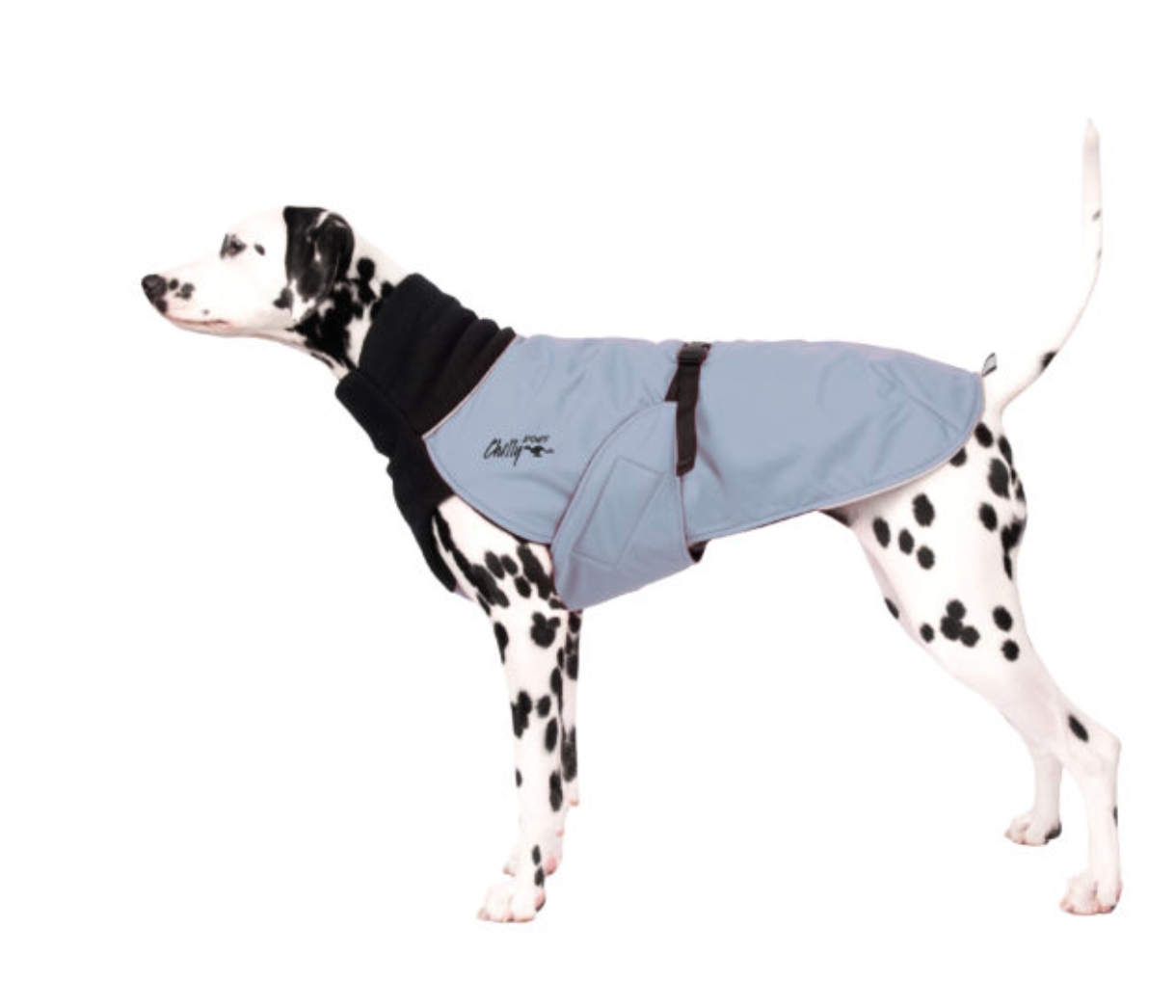 Chilly Dogs - Great White North Coat - Standard Fit
