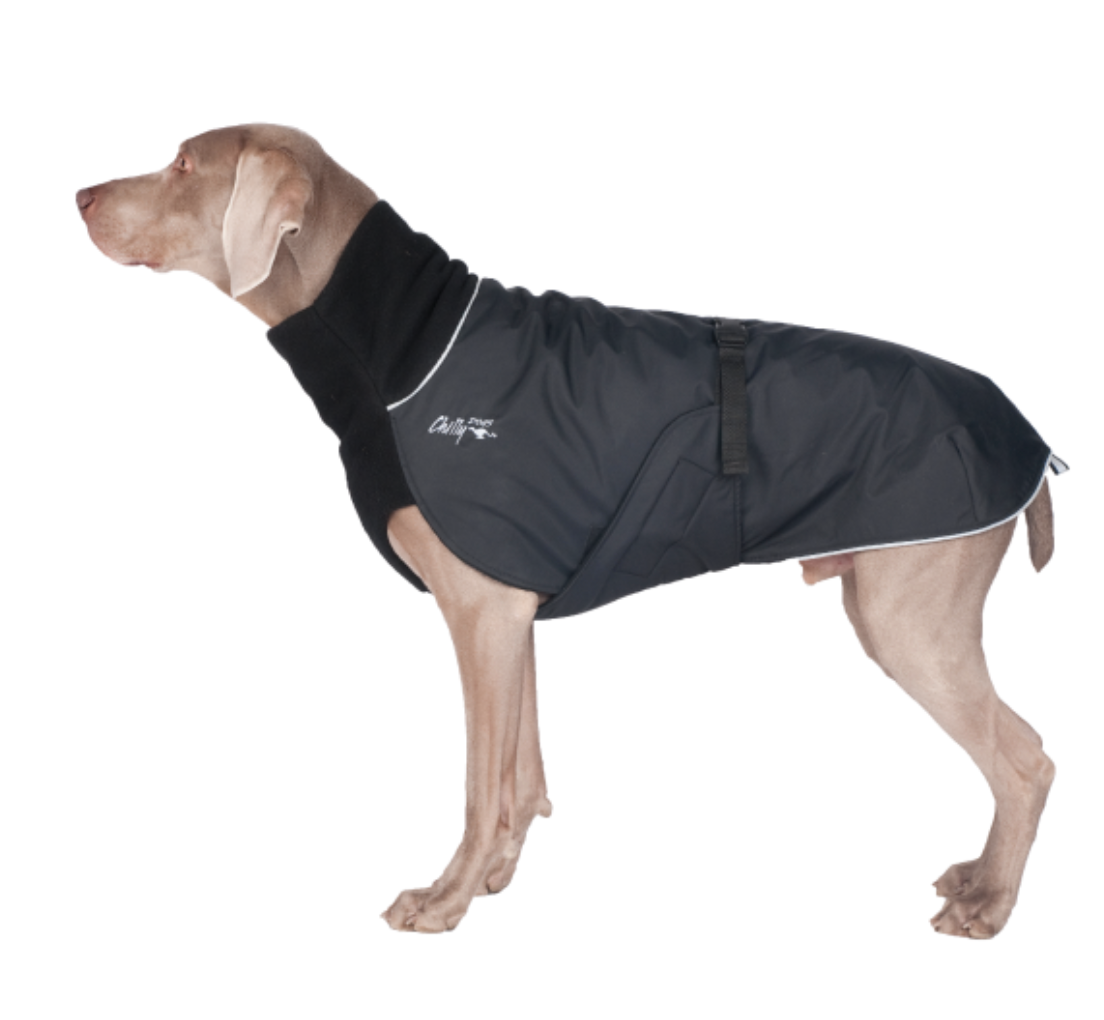 Broad Burly Great White North Coat Chilly Dogs Doodle Dogs