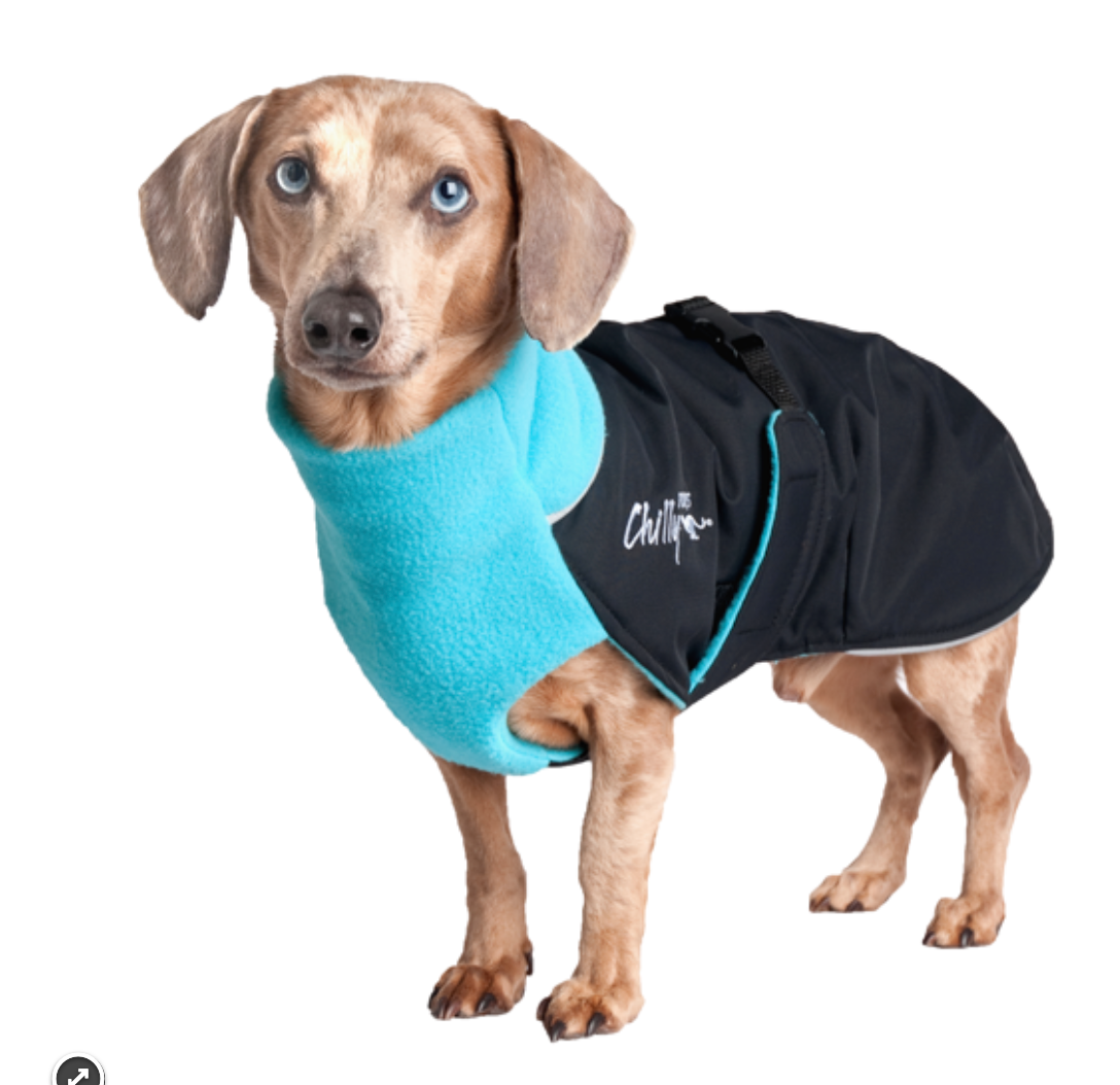 Great white north dog coat deals