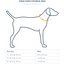 Ruffwear - Chain Reaction Collars