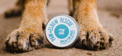 Legendary Canine- Paw & Elbow Rescue