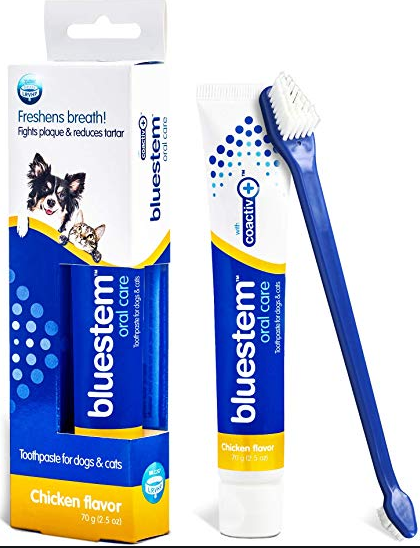 Bluestem - Toothpaste & Brush