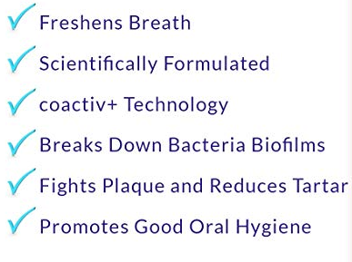 Bluestem - Toothpaste & Brush