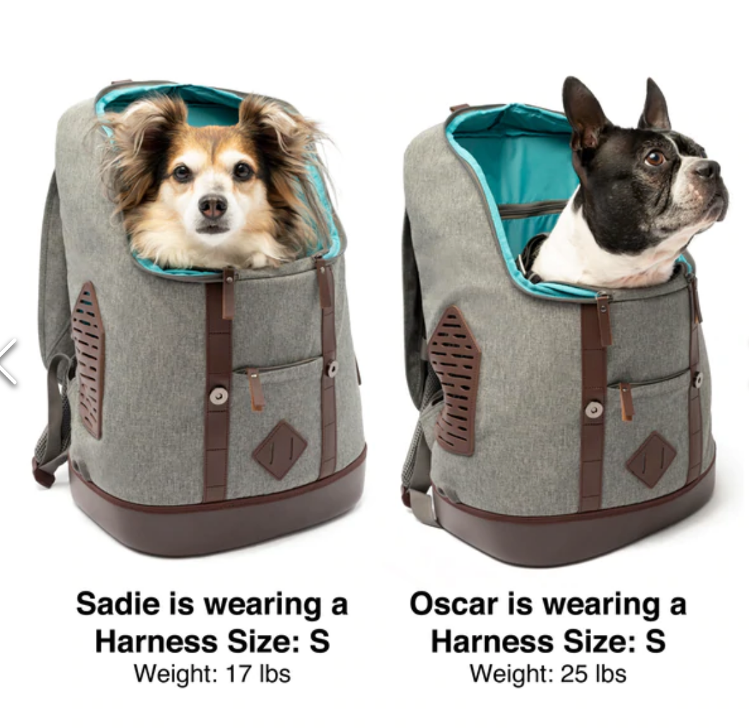 Kurgo K9 Rucksack Doodle Dogs