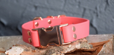 DogDog Goose Biothane Collar - Coral with Rose Gold Buckle