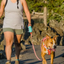 Ruffwear - Stash Bag Mini