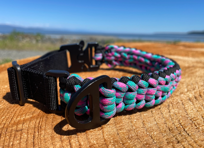 Summit Dogwear - Takka Collar - Cotton Candy