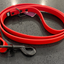 DogDog Goose - Biothane Leashes