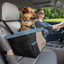 Kurgo - Rover Booster Seat - Black/Blue