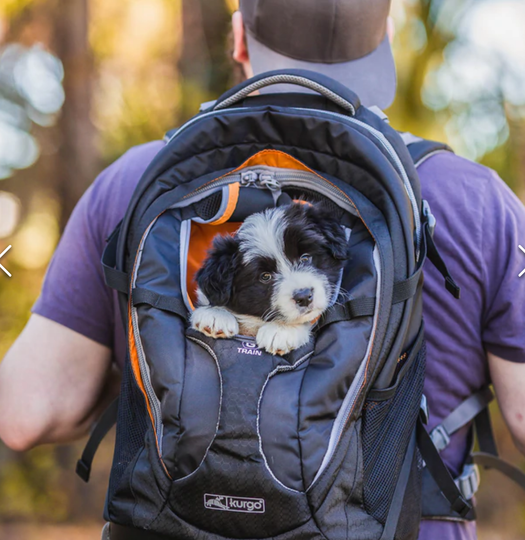 Kurgo G Train Dog Carrier Backpack