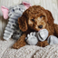 Patchwork Pet - Ellie the Elephant Plush Toy
