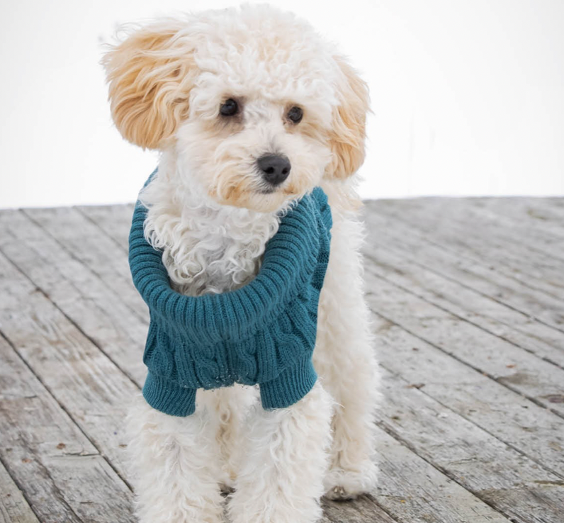 Shedrow K9 - Brentwood Cable Knit Dog Sweater